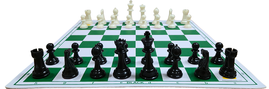 All new students receive a quality international chess set upon enrollment.